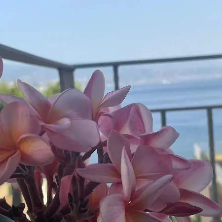 Casa Cannoni - Delizioso Fronte Mare Vista Stretto Di